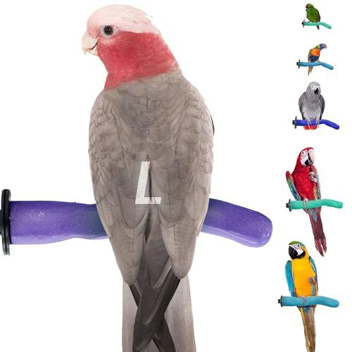 Safety Pumice Bird Perch (Purple / Large 12")