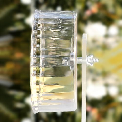 Silent Hamster Wheel (Ф 6 inch / Transparent)
