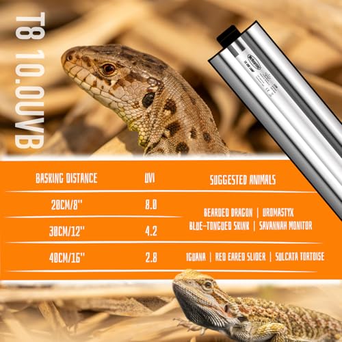 T8 UVB Reptile Light