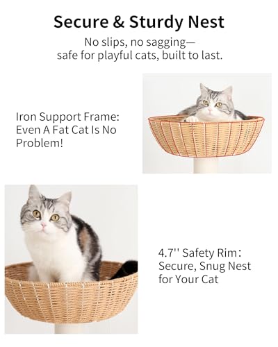 Wood Cat Tree for Large Cat (Nature 81007)
