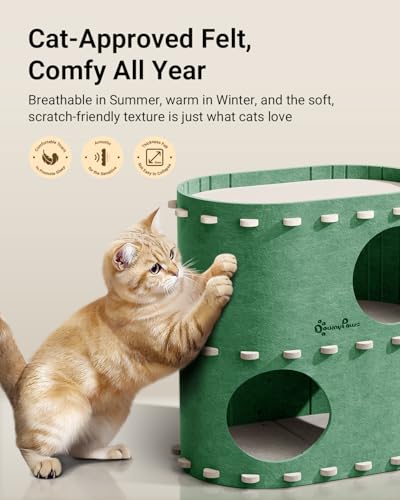 Cat House for Indoor Cats (Forest / Double)