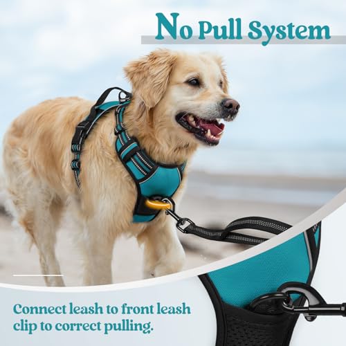 Dog Harness No Pull Medium Sized with 2 Leash Clips (Medium / Teal)