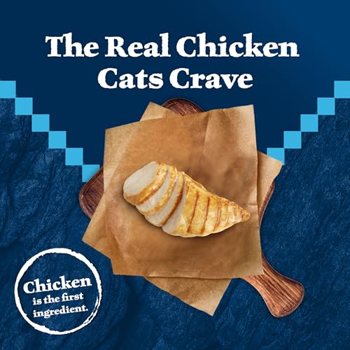 Wilderness Chicken Adult Indoor Dry Cat Food (2 Pound (Pack of 1))
