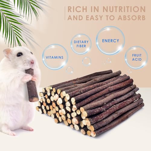 460g 1lb Natural Apple Wood Sticks (16.2 Ounce (Pack of 1))