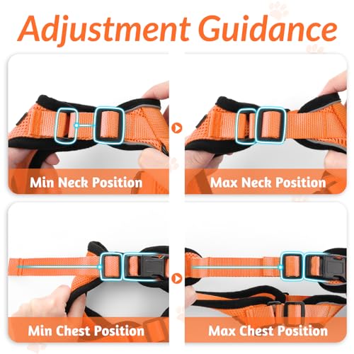 Cat Harness and Leash Set (Xs / Orange)