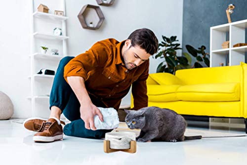 Ceramic Pet Bowls with Stand (1 pack)