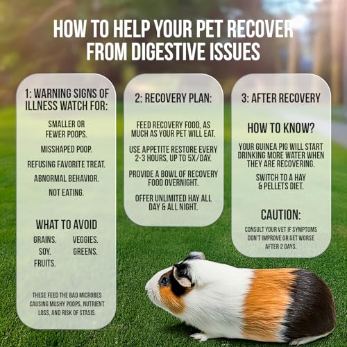 Guinea Pig Emergency Kit (6.34 Ounce (Pack of 1))