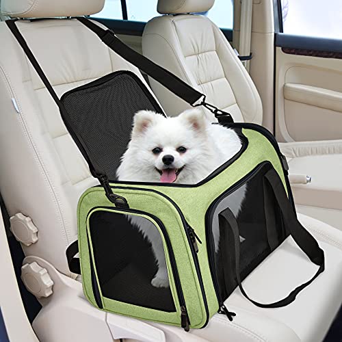 Large Cat Carriers Dog Carrier Pet Carrier for Large Cats Dogs Puppies up to 25Lbs (20.0"L x 13.0"W x 13.0"H / Green)