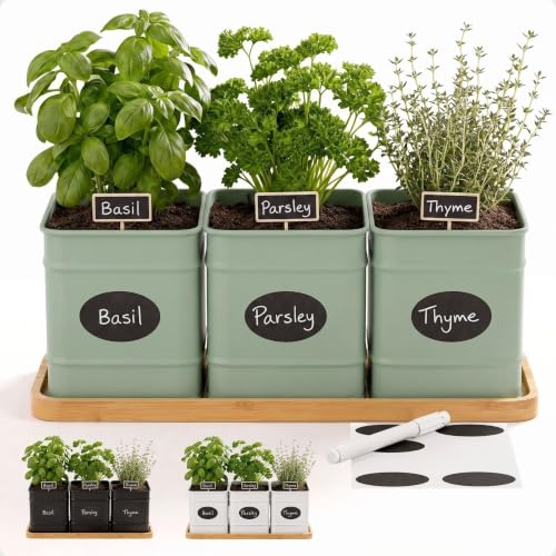 Herb Planter Indoor (Sage Green)
