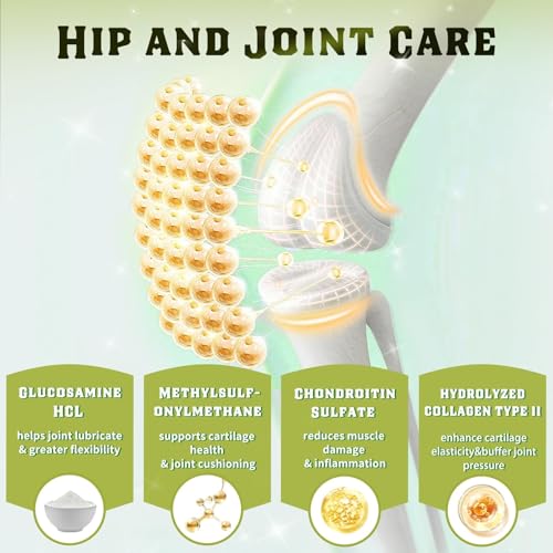 Glucosamine for Dogs