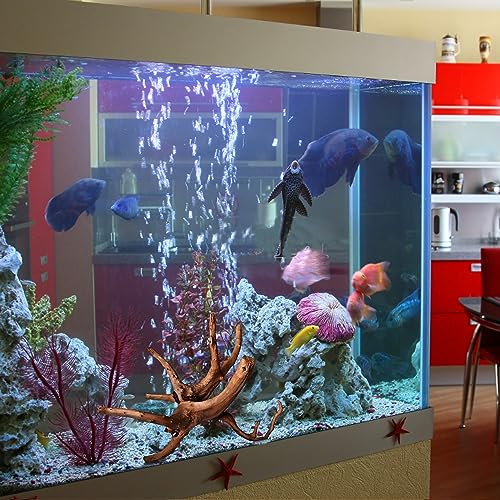 Natural Large Driftwood for Aquarium Decor Fish Tank Decor Reptile Decor (Spiderwood 13 to 17 Inch(Pack of 1))