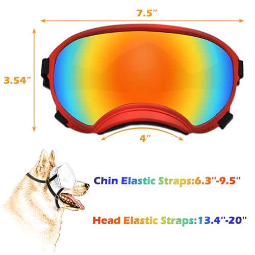 Large Dog Sunglasses