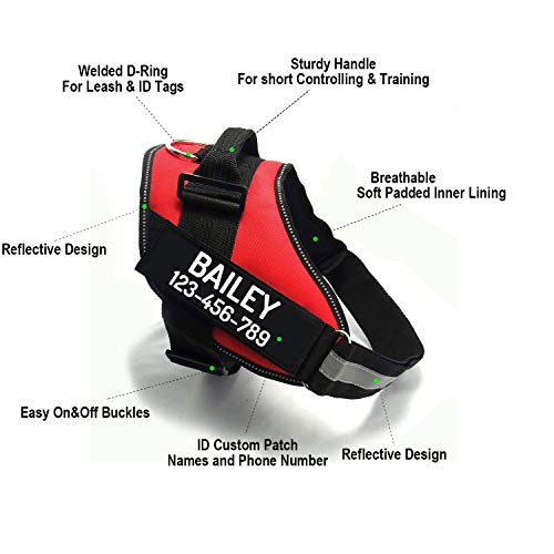 Custom No Pull Dog Harness with Name and Phone Number (XL (60-85 LBS) / Blue)