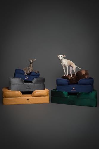 Cat Bed XS Dog Bed (Black - DE / Small)