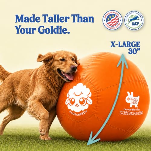 30" Herding Ball for Dogs (Tangerine - XL 30" Herding Ball Set / XL 30")