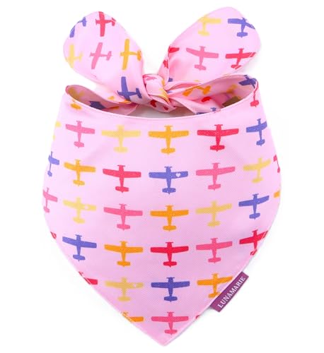 Luxury Pet Birthday Bandanas (Aviator Glam / X-Small)