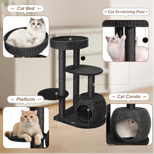 Gothic Cat Tree (53" / Midnight Black)
