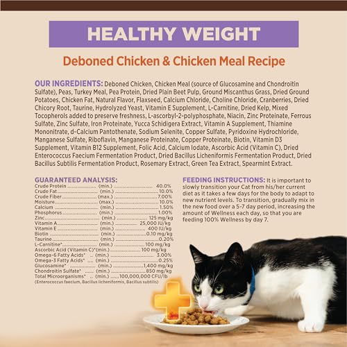 CORE+ Healthy Weight Adult Dry Cat Food (4.75 Pound (Pack of 1))
