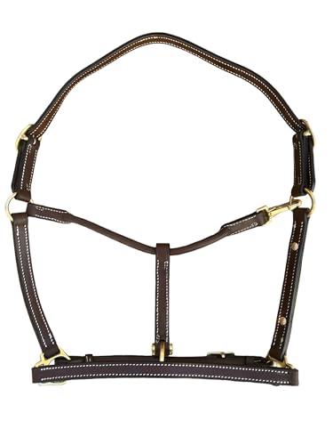 Leaders 3 4" Leather Halter for Horses with Customized Engraved Name Plate Brown Leather with Solid Brass Hardware (Draft)