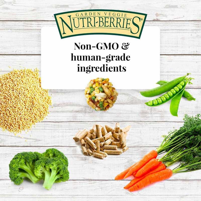 Garden Veggie Nutri (3 Pound (Pack of 1))