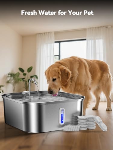 Large Dog Water Fountain 14L