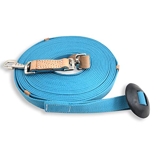 35' Flat Cotton Web Lunge Line with Bolt Snap & Rubber Stop (Turquoise / 35')