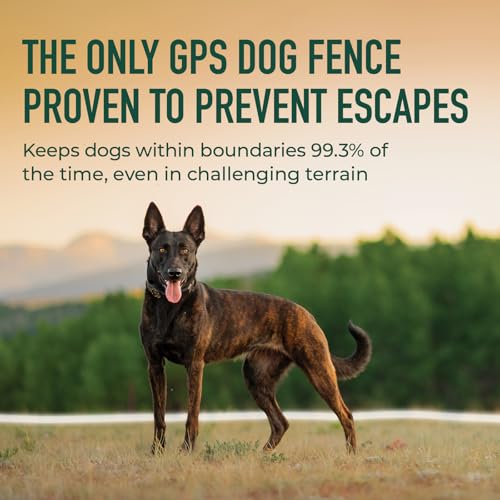 Nova GPS Dog Fence Collar