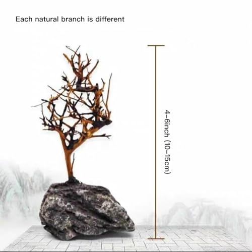 2pcs Small Bonsai Aquarium Tree