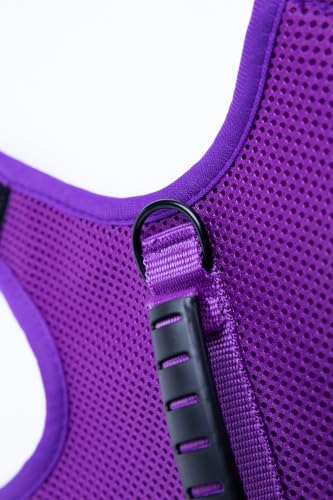 Cat Harness and Leash Set for Walking Escape Proof (Purple / Xxl 19-26 lbs)