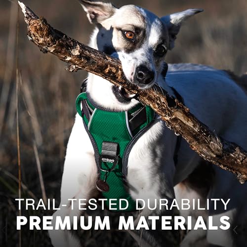 Embark No Pull Dog Harness (L / Green)