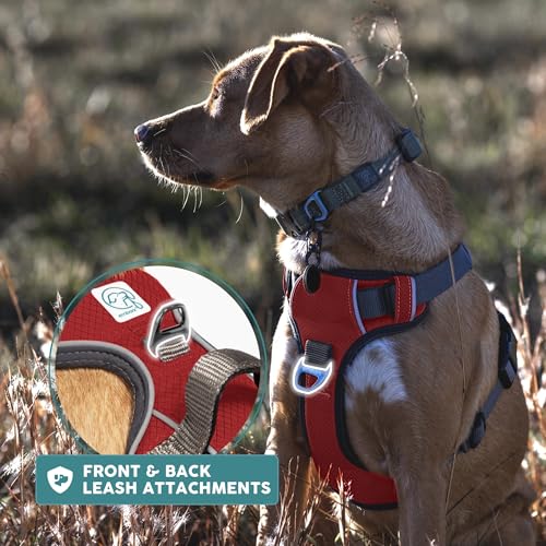 Embark No Pull Dog Harness (XS / Red)