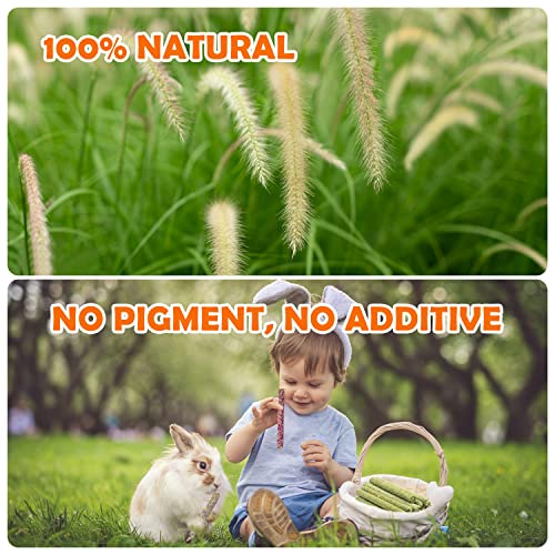 Timothy Hay Treats Rabbit Toys Bunny Toys Guinea Pig Hamster Natural Chews for Teeth Handmade Rabbit Chews and Treats Chinchilla Rat Gerbil