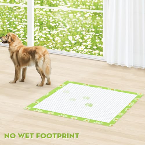 XXL Puppy Pads with Adhesive Tabs Leak (Extra Large-30x36in(40Ct))
