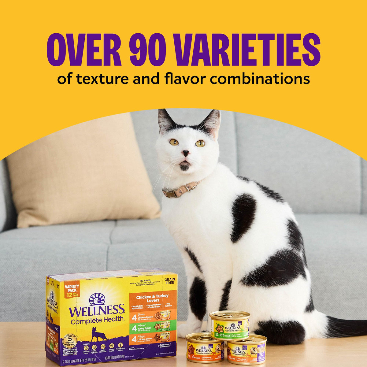 Complete Health Pate Adult Canned Wet Cat Food (3 Ounce (Pack of 24))