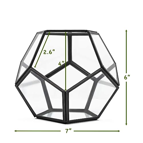 Glass Terrarium Kit (Geometric Glass)