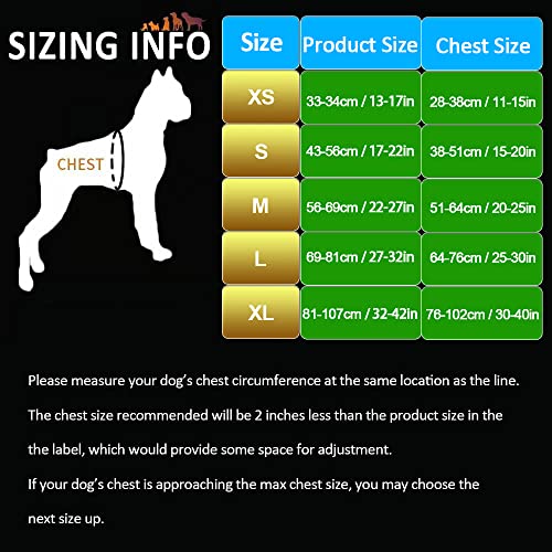 Truelove No Pull Dog Harness with Easy Control Handle and 2 Leash Attachments (Small / Gray)