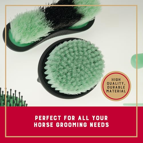 6 Piece Horse Grooming Kit (Mint/Gray)
