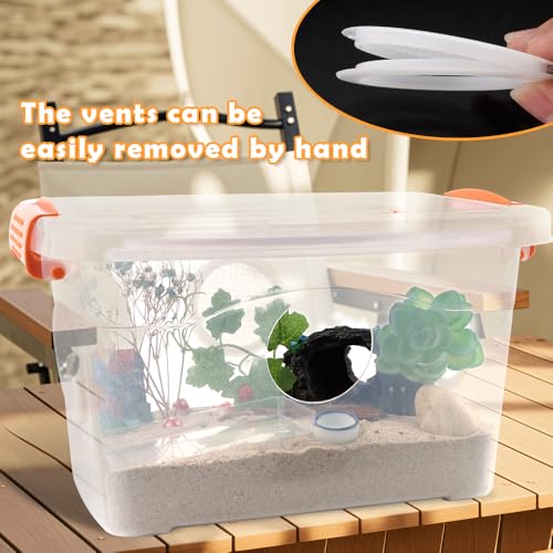 Reptile Feeding Box Snake Plastic Transparent Breeding Box Hatching Container for Small Reptile Bearded Gecko Dragon Lizard Spider Frog Scorpion