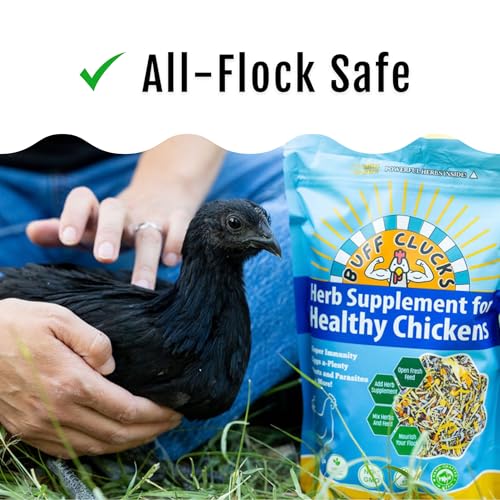 Herbs Supplement for Chicken Food Natural Poultry Feed (20 Pound (Pack of 1))