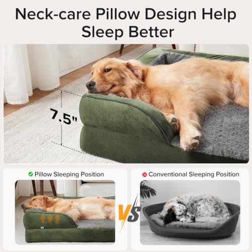 Jumbo Orthopedic Dog Bed for Extra Large Dogs (Green / XL-PLUS (45"x 32"x 7.5"))