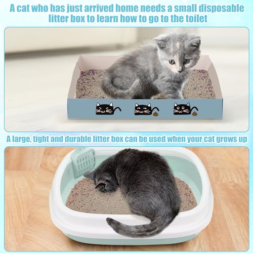 40 Pcs Kitten Starter Kit for Indoor Cats Include Litter Box