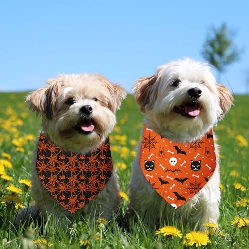 Halloween Bandanas for Dogs 2 Pack Thanksgiving Halloween Holiday Pumpkins Ghosts Spider Web Fall Dog Bandanas Pet Scarf Accessories for Small Medium Dogs & Cats (C)