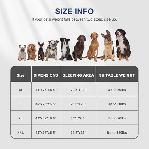 Orthopedic Small Dog Bed (28.0''l x 23.0''w x 6.5''th / Black)