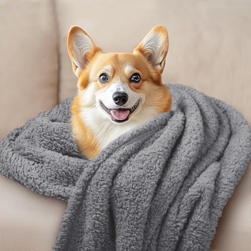 1 Pack 3 Calming Dog Blanket Fluffy Premium Fleece Pet Blankets Soft Sherpa Throw for Dogs Puppy Cat Grey (Large (Pack of 3) / Grey/Beige/Hazeblue)