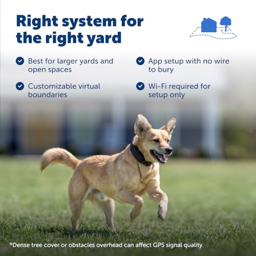 Guardian GPS Dog Fence (Black / Guardian GPS Fence)