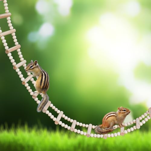 Long Bird Ladder with Wooden Rungs and Beads (yellow / 61.81×3.14 Inches)