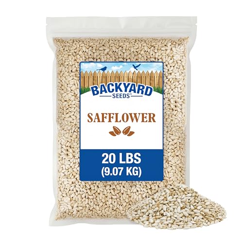20LB Safflower Bird Seeds for Outside Feeders (Safflower / 20 Pound (Pack of 1))