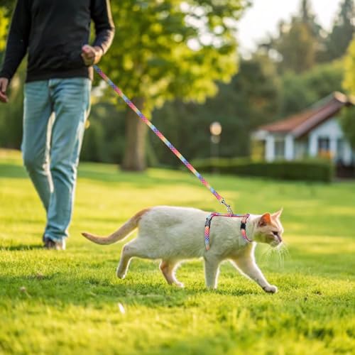 Cat Harness with Leash and Collar Set (Small / Multicolor)
