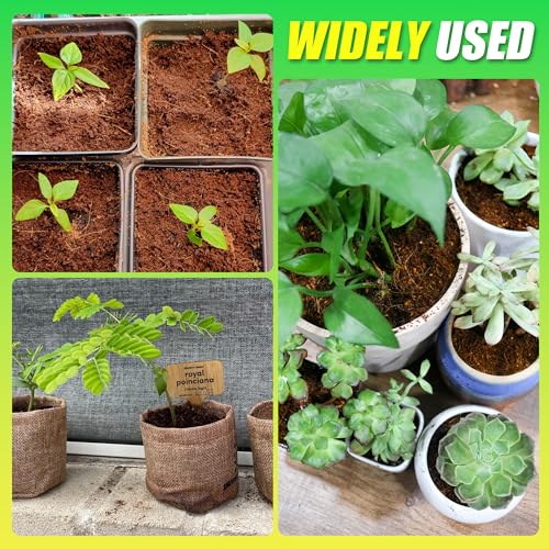 Coco Coir Brick for Plants (6pcs)