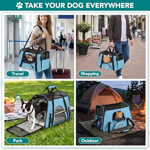 Airline Approved Pet Carrier for Cats & Small Dogs (Light Blue / 19.5"L x 10.2"W x 12.0"H)